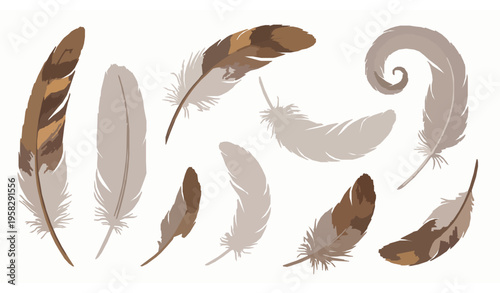 3D feather collection vector with detailed natural colorful plumage
