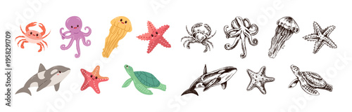 Cute hand drawn colored marine animals set with crab octopus jellyfish starfish turtle in flat and vintage line style