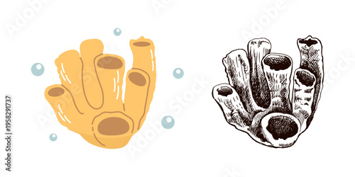 Cute hand drawn colored marine sponge in flat and vintage line style set ocean aquatic vector illustration