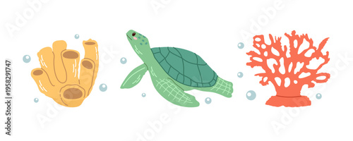 Cute hand drawn colored marine set with turtle coral and sponge in flat style ocean vector illustration