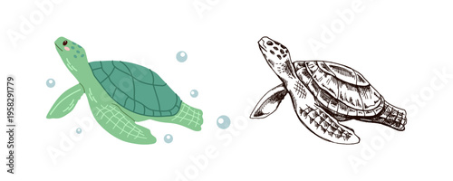 Cute hand drawn marine turtle in flat and vintage line style ocean aquatic animal vector illustration underwater