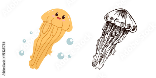 Cute hand drawn marine jellyfish in flat and vintage line style ocean aquatic animal vector illustration underwater