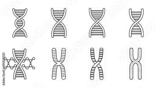 Dna and chromosome illustrations science biology and genetic research