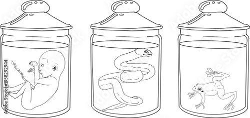 Hand drawn illustration set in a dark plague doctor theme, medieval medicine, anatomy, and occult aesthetics. Vintage line style, black and white line art, suitable for gothic, historical, and dark fa