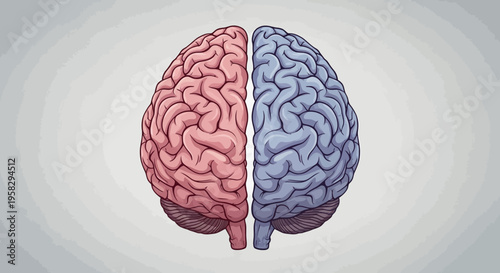 Conceptual illustration of human brain hemispheres depicting creative thought