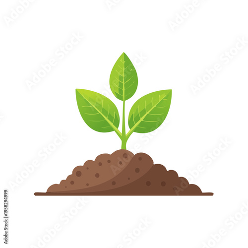Young green plant sprouting from brown soil showing growth and new life