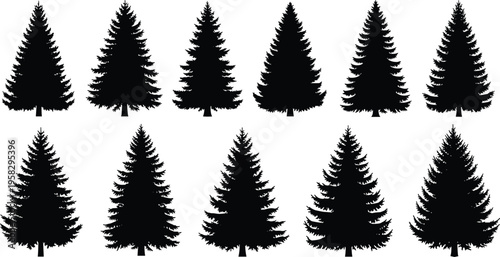 Pine Tree Silhouette Collection, Spruce and Fir Christmas Trees Set, Forest Evergreen Conifer Illustration, Nature Wood Elements Vector Isolated On White