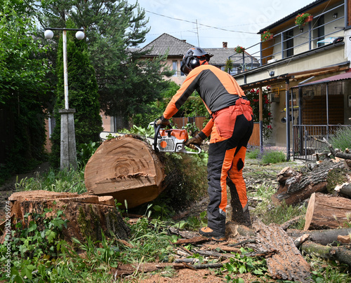Arborist Cutting Large Log with Chainsaw