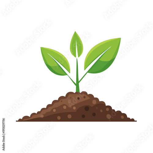 Sprouting green plant with three leaves growing from rich brown soil in a simple graphic