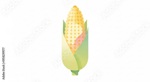 Fresh corn on the cob with partially peeled green leaves and yellow kernels on white background