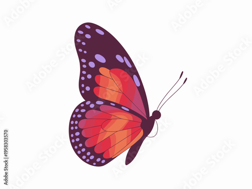 Vibrant butterfly illustration featuring an exquisite monarch wing pattern with scarlet orange gradients and purple polka dot accents isolated on a pure white background for creative design graphic pr