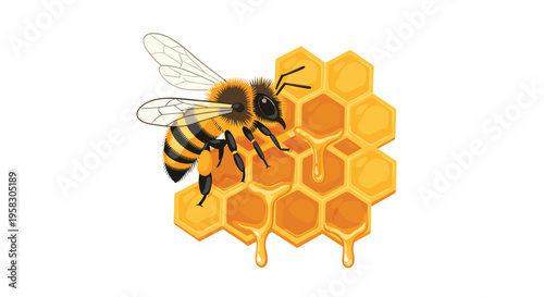 A single honeybee stands on a vibrant golden honeycomb with dripping honey against a pristine white background.