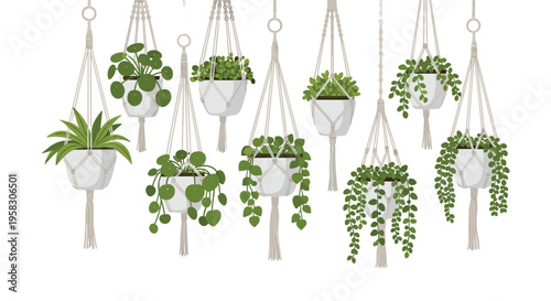 A collection of nine green potted plants hangs in white macrame holders against a plain white background.