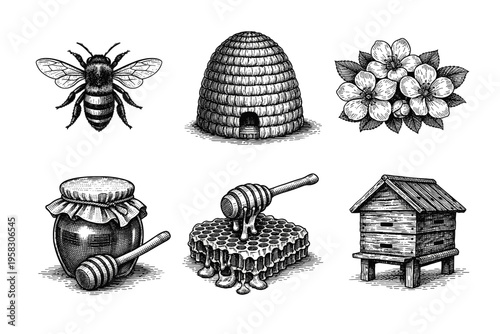 Vintage engraved honey and beekeeping collection in black and white botanical illustration style