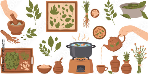 Herbal medicine and natural remedies vector set with plants, roots, tea brewing, traditional healing ingredients, wellness illustration collection