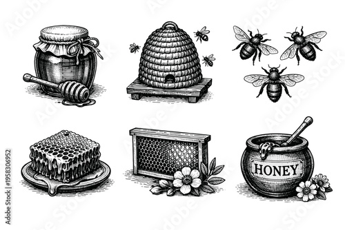 Vintage engraved honey and beekeeping collection in black and white botanical illustration style