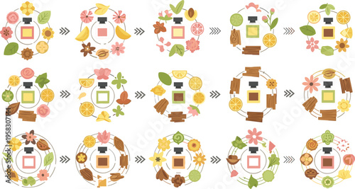 Natural perfume ingredients process vector set with flowers, fruits, herbs and spices, fragrance composition stages, cosmetic aromatherapy illustration collection
