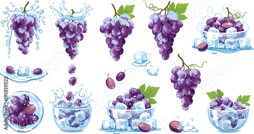 Fresh purple grape vector collection with splashes, ice cubes and bowls, juicy fruit compositions isolated on white background, detailed cartoon illustration set