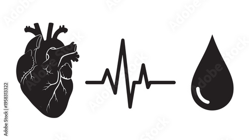 Vector Illustration Of Human Heart, Ecg Pulse Line, And Blood Drop For Healthcare And Medical Concept Medical Health Isolated On Transparent Background