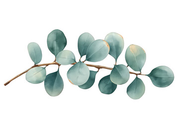 Watercolor eucalyptus branch featuring green leaves. Botanical artwork for natural designs, decor, and patterns with transparent background