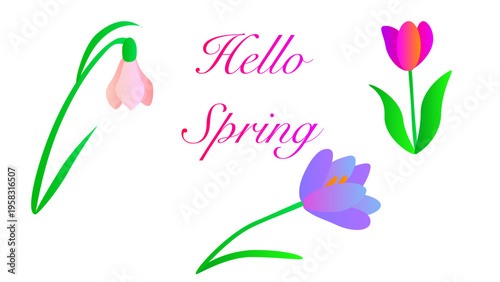 Spring greeting card. Vector illustration. 