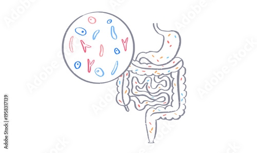 Gut Brain Connection