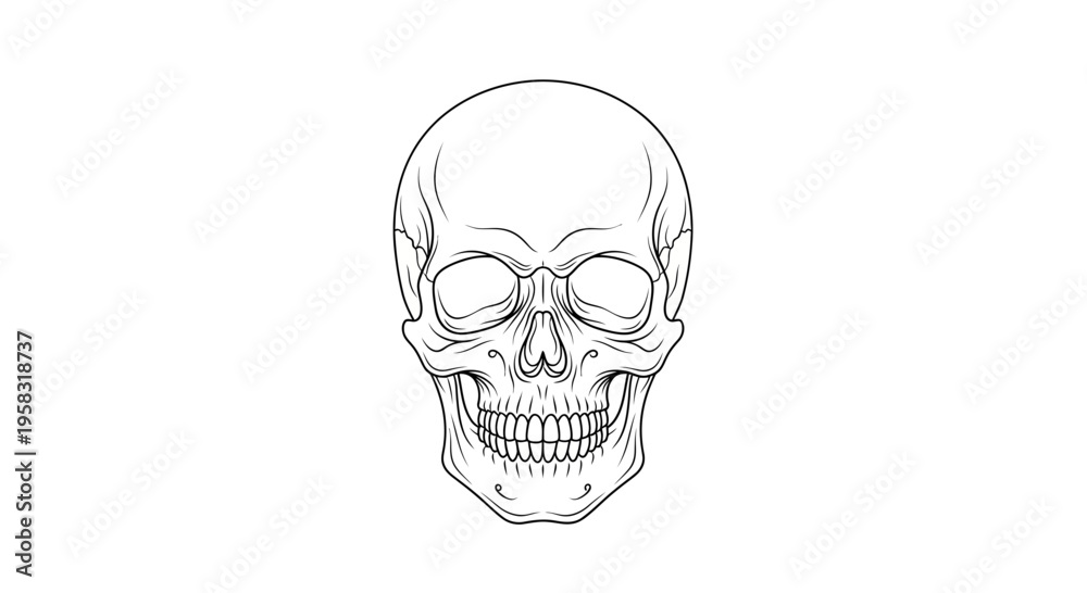 Fototapeta premium Human Skull Outline Drawing, Anatomical Head Skeleton, Black and White Illustration