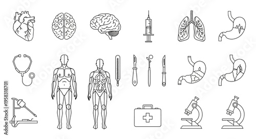Extensive set of human internal organs and medical instruments icons, including heart, brain, lungs, skeleton, microscope, and surgical tools, isolated white background.