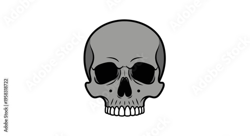 Human Skull Illustration, Gray Tone, Isolated on White Background
