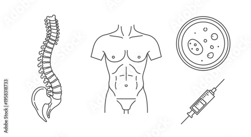 Detailed medical and anatomical icons featuring human spine, male torso, petri dish with bacteria, and syringe, isolated white background.