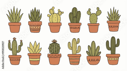Doodle vector illustration of various cacti and succulents in pots on a surface