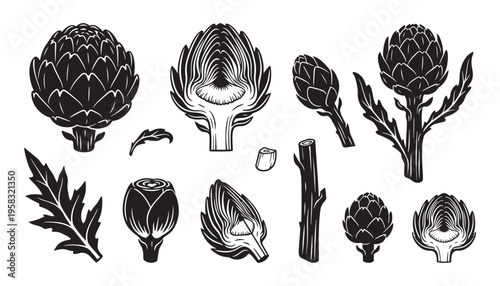Artichoke vector illustration set, whole and cut, fresh plant with leaves, vegetarian food graphic