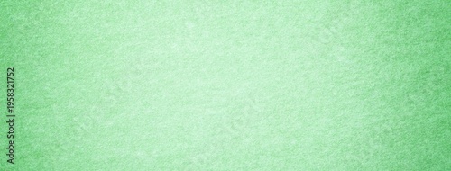 Light green suede fabric background with matte microfiber texture, soft pastel mint felt surface with vignette in macro