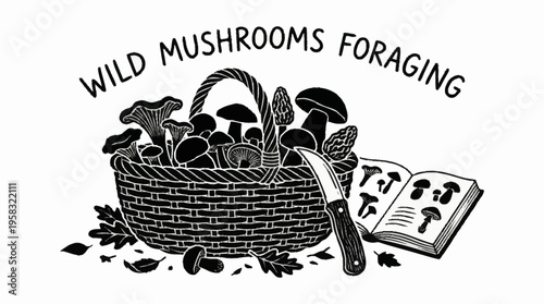 Wild mushrooms foraging scene with basket and guidebook in forest