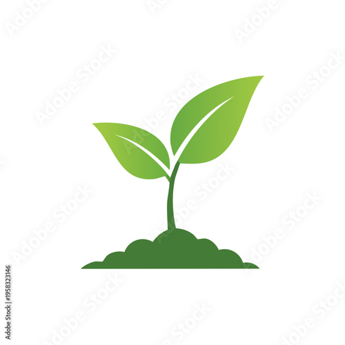 Young green plant sprout growing from fertile soil, representing new life and growth