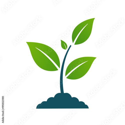 Green sprout emerging from soil symbolizing growth and new beginnings