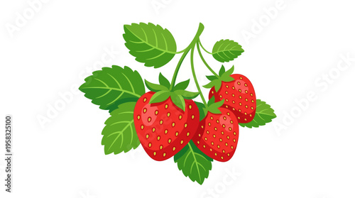 Fresh Ripe Strawberries on a Green Stem with Leaves.