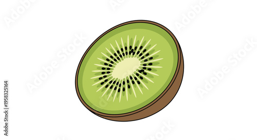 Freshly Sliced Ripe Kiwi Fruit Cross Section.