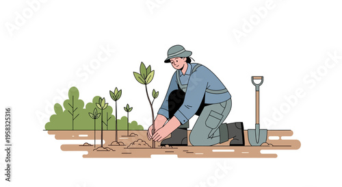 Gardener planting a small tree in the soil.