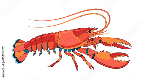 Illustration of a bright red lobster with large claws and long antennae.