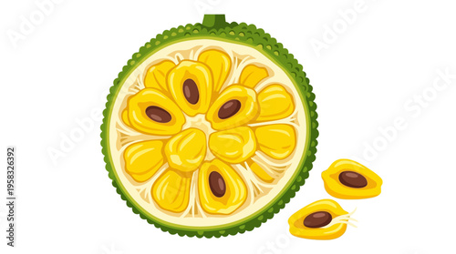 Illustration of a Ripe Jackfruit Cut in Half Showing its Yellow Flesh and Seeds.