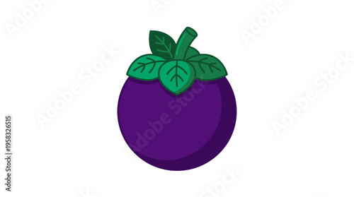 Illustration of a single ripe purple mangosteen fruit.