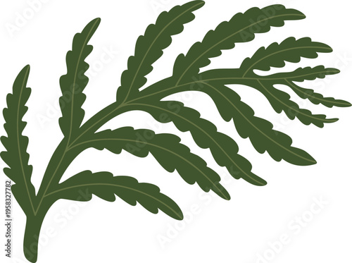 Fern Leaf Illustration Green Botanical Minimal Style