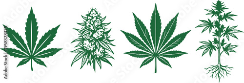 Detailed collection of hand drawn cannabis elements including leaves bud and whole plant with roots