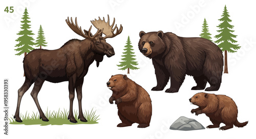 Moose, Bear, Beaver Wildlife Animals: Forest Nature Collection