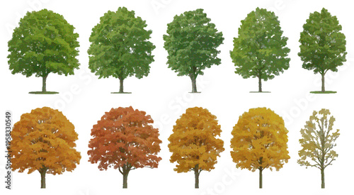 Autumn and Summer Trees Isolated on White Background, Seasonal Tree Collection with Green and Orange Foliage, Nature Stock Photo for Landscape Design, Botanical Elements and Environmental Concepts