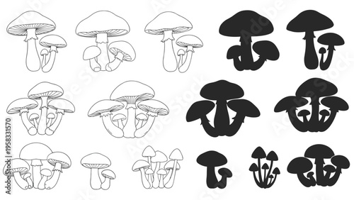 Collection of various mushroom clusters shown in both line art and silhouette styles on a white background for design.