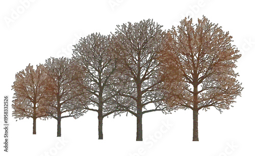 Group of Trees Isolated on White Background, Realistic 3D Illustration of Green Forest Elements, Natural Landscape Collection for Design, Environment Concept, Botanical Rendering