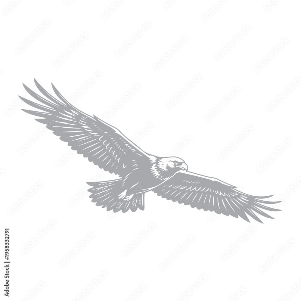 Obraz premium an eagle in flight