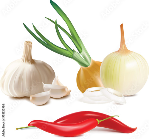 A clean vector composition focusing on aromatic base ingredients used in many cuisines. The image features a large bulb of white garlic with several peeled cloves scattered in front